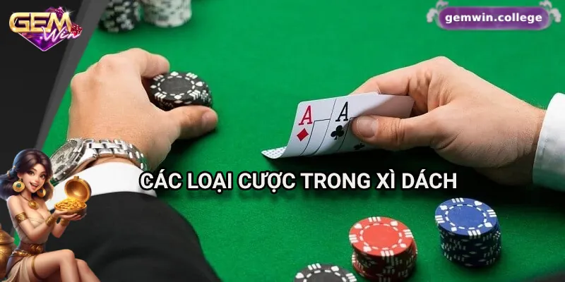 Cách Chơi Xì Dách Và Đặt Cược Hiệu Quả Trên Gemwin 2 Các loại cược phổ biến trong xì dách tại Gemwin