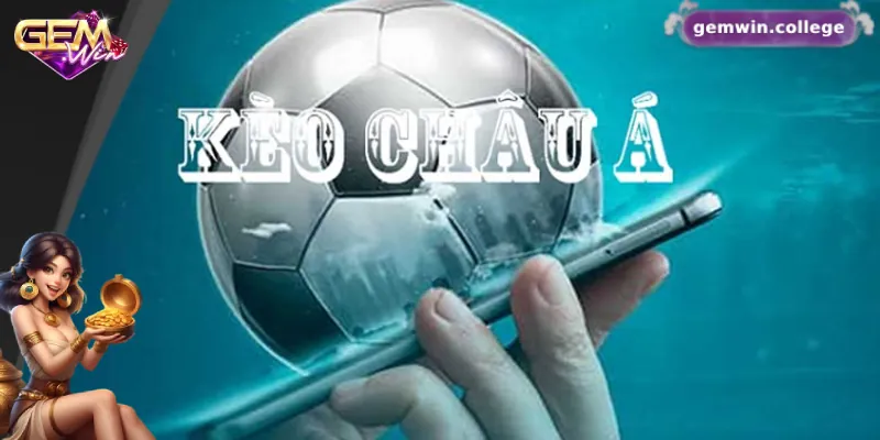 Kinh Nghiệm Soi Kèo Bundesliga Hiệu Quả Từ Cao Thủ Cá Cược 2 Kèo châu Á là kèo phổ biến nhất trong giải đấu Bundesliga